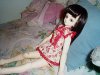 miyakohazellying1thumbnail.jpg (3466 bytes)